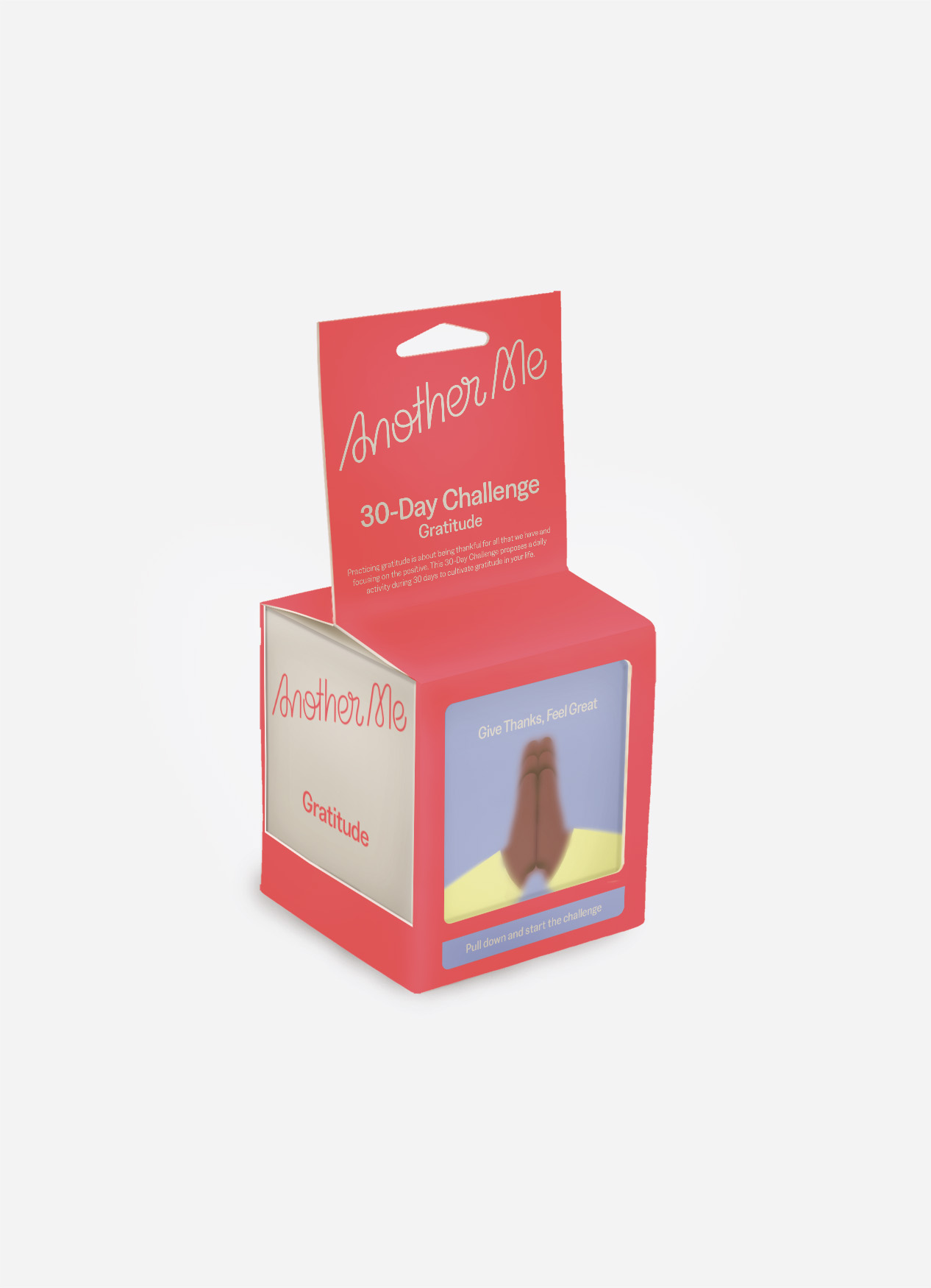 30 Day Challenge - Gratitude, Englisch