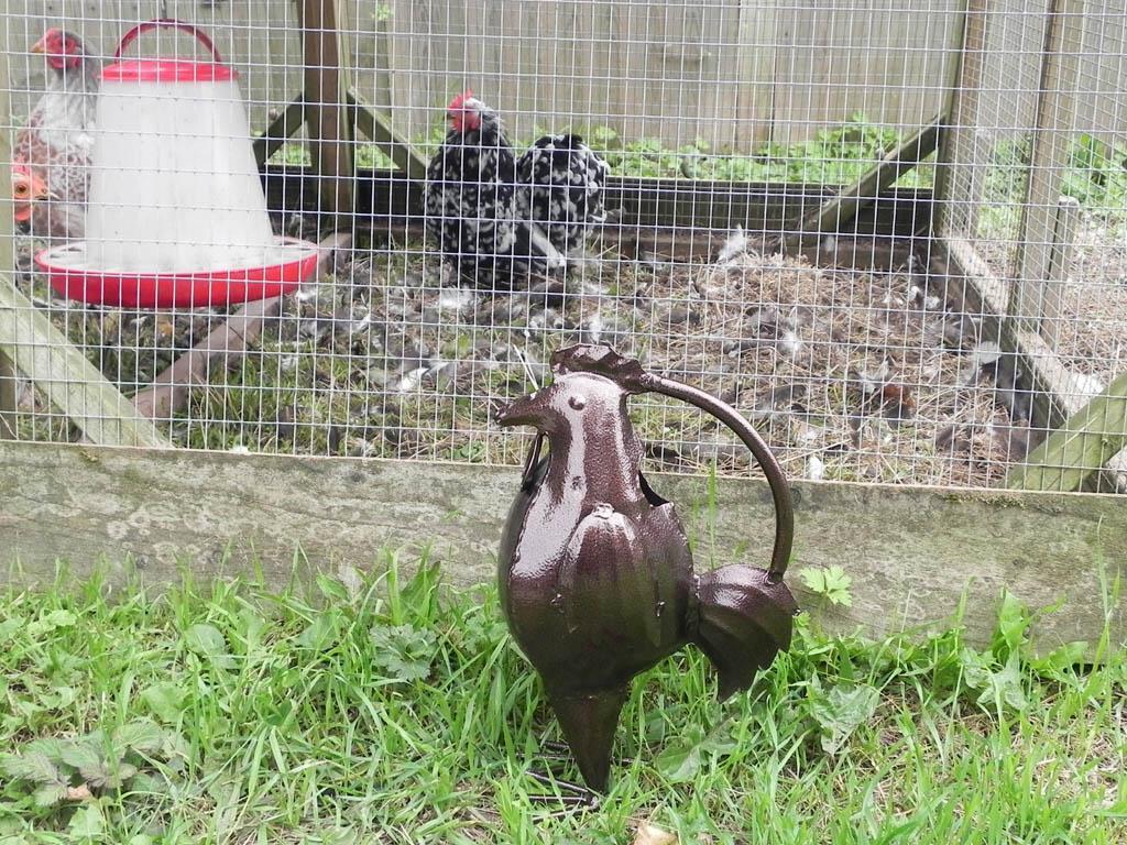 Baby Giesskanne - Hahn Bronze