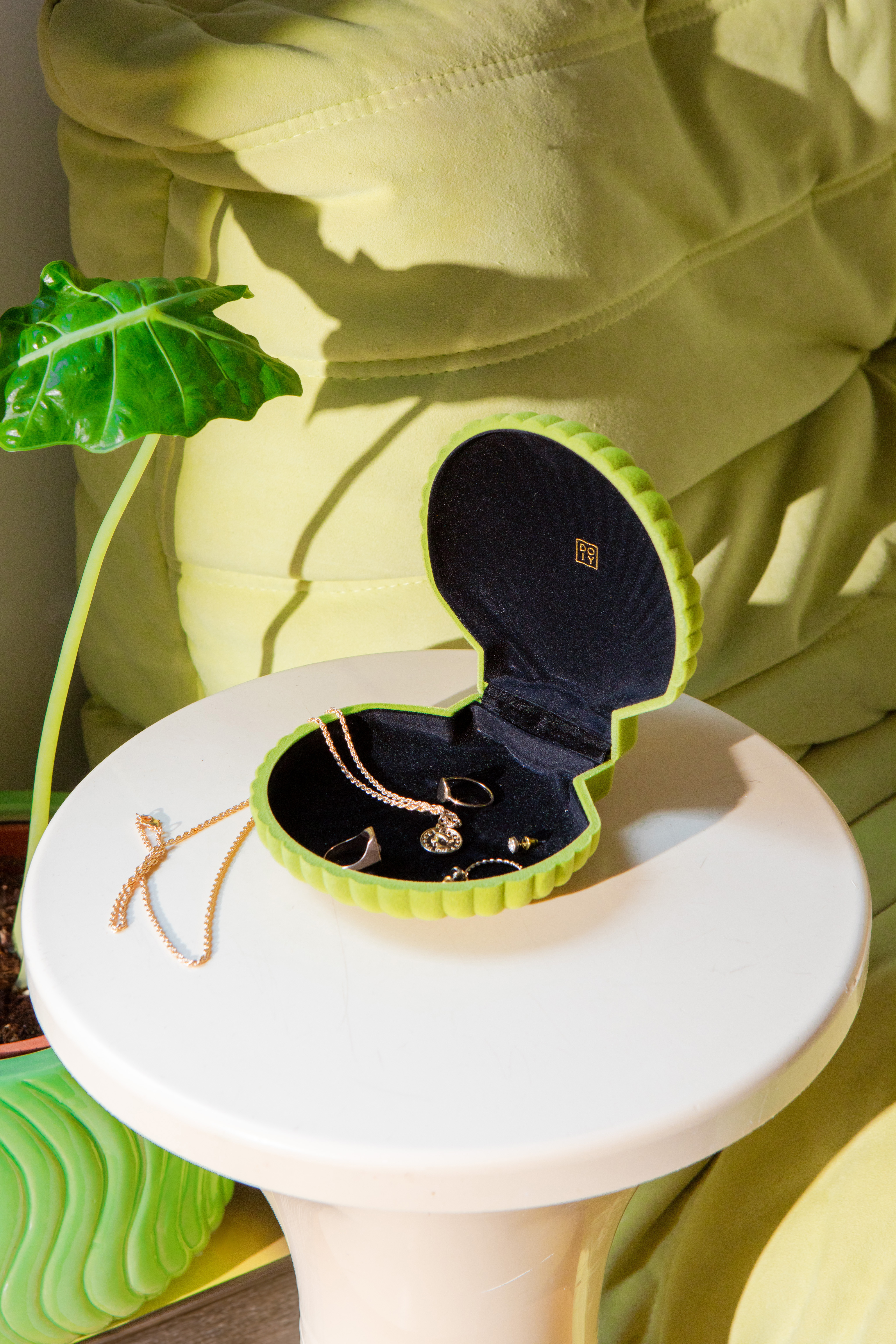 Venus, Aufbewahrungsbox