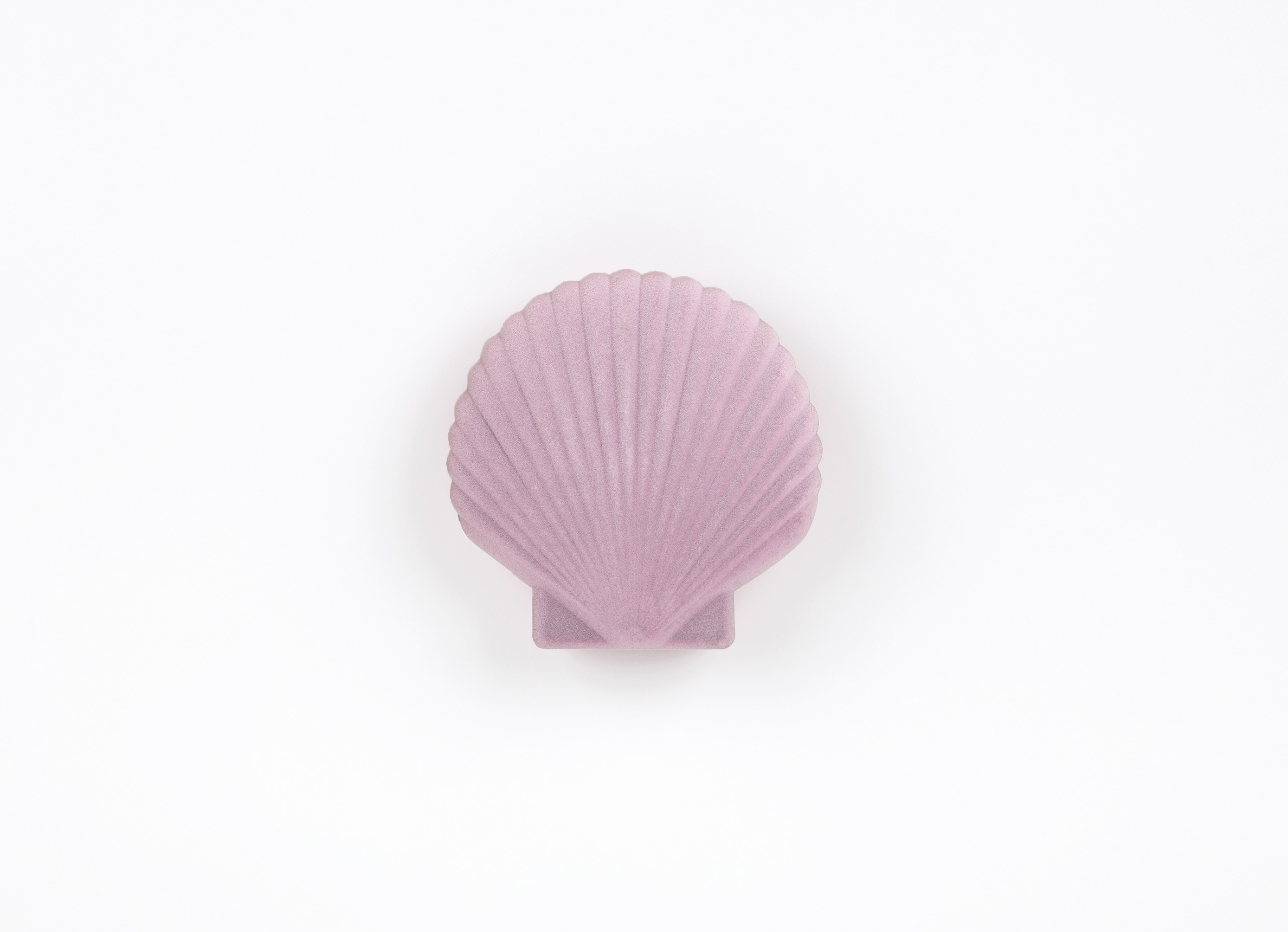 Venus, Aufbewahrungsbox