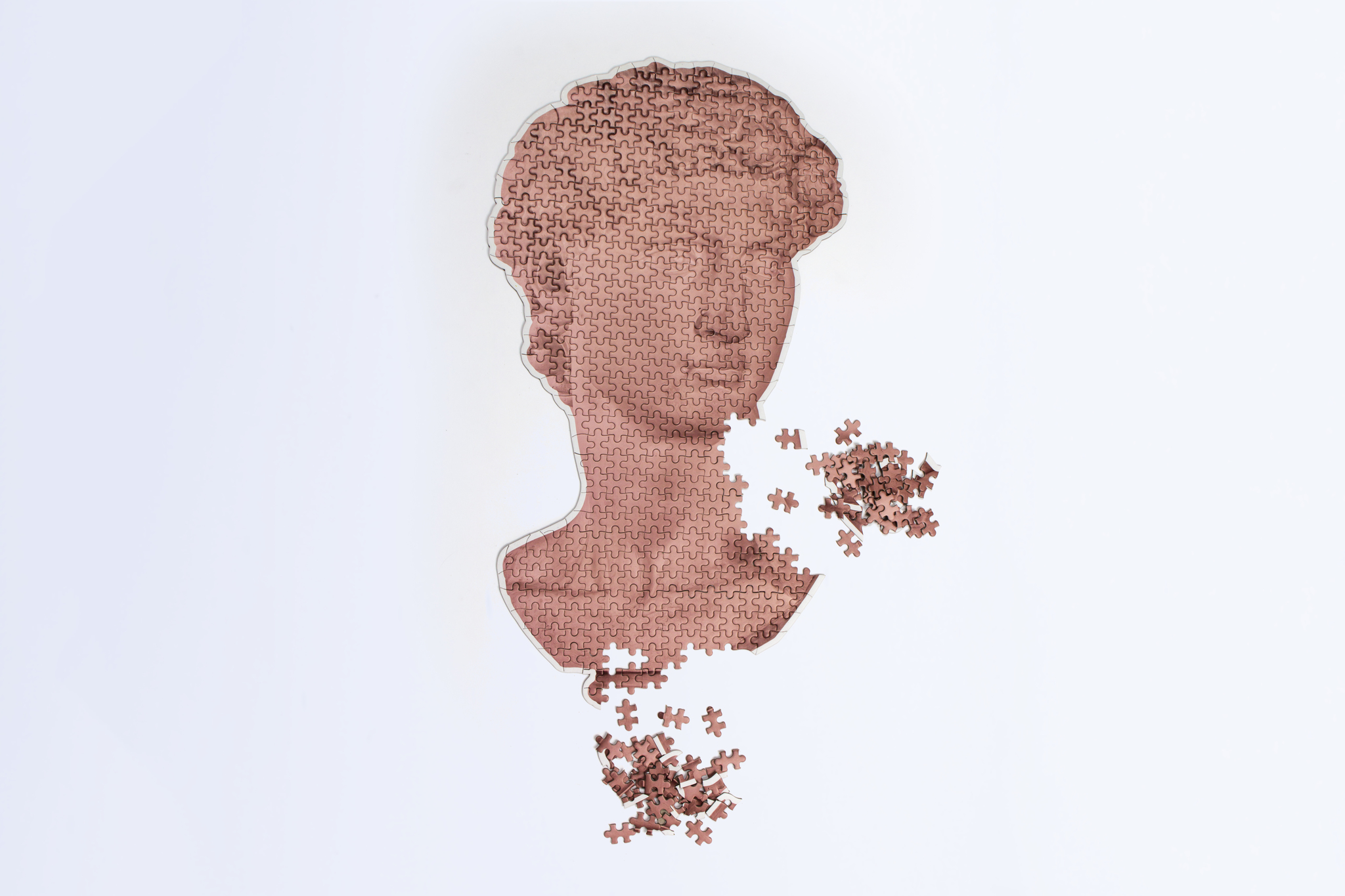 Puzzle (over 500 pieces with adhesive sheets to fr