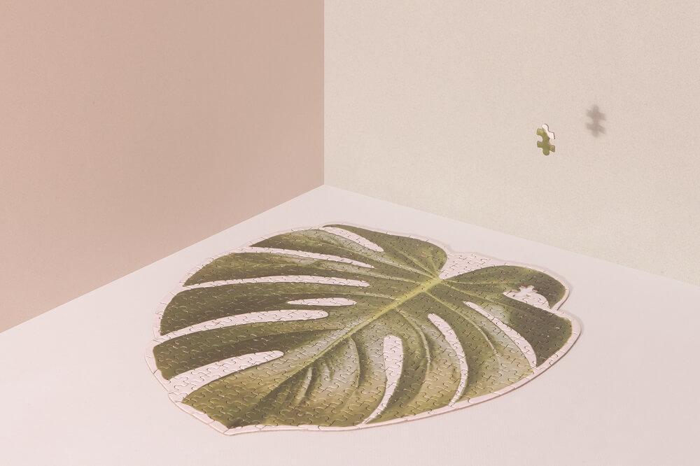 Puzzle (over 500 pieces with adhesive sheets to fr