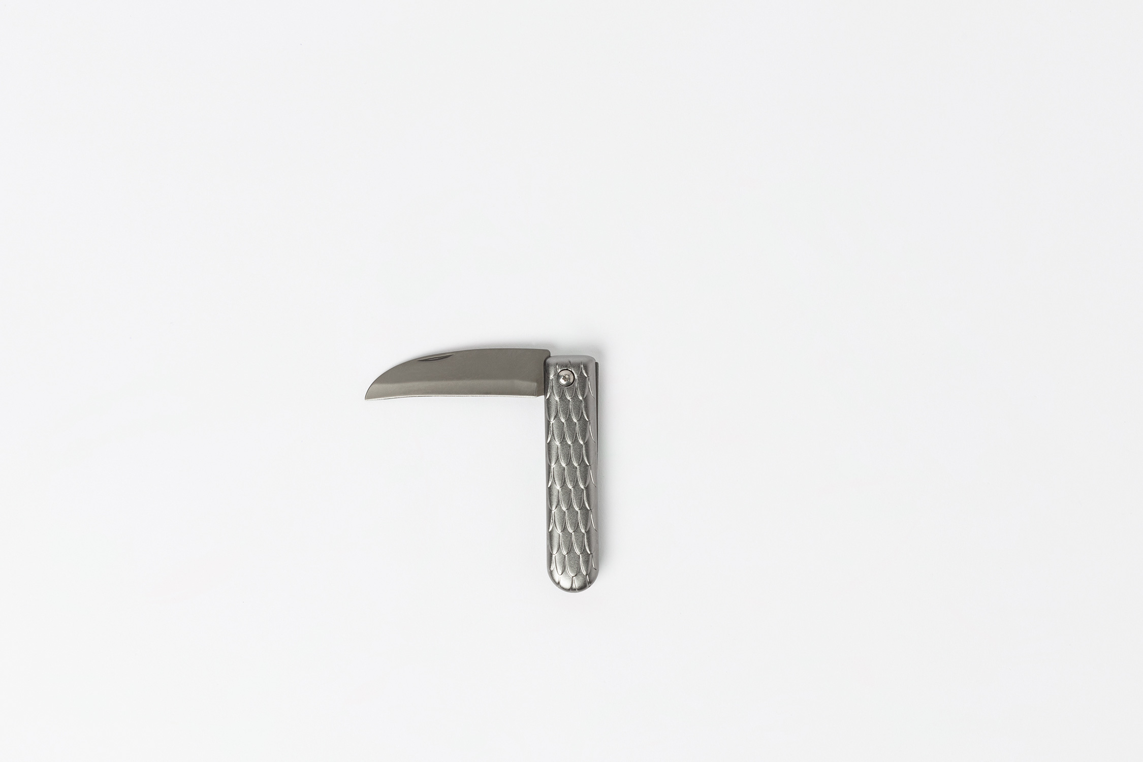 Foldable Knife