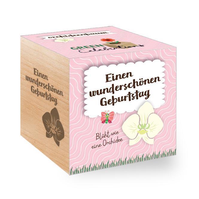 Green Celebrations - Orchideenbaum