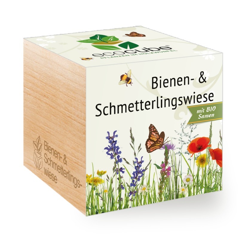 Ecocube Bienen- und Schmetterlingswiese - Pflanzen im Holzwürfel