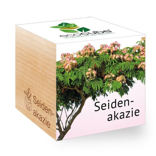 Ecocube Seidenakazie - Pflanzen im Holzwürfel