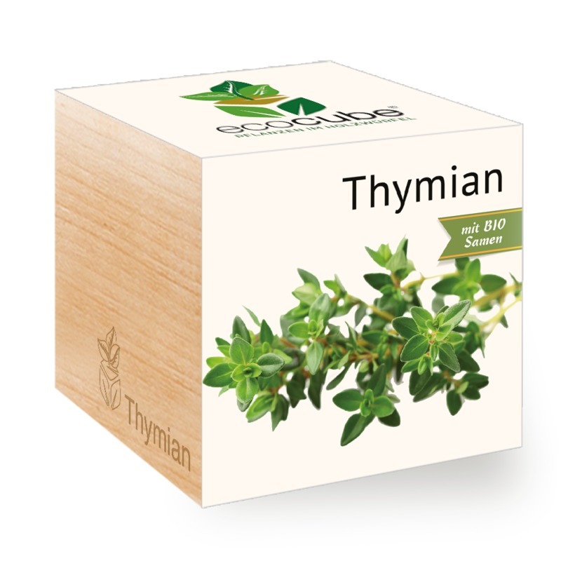 Ecocube Thymian - Pflanzen im Holzwürfel