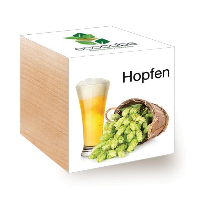 Ecocube Hopfen - Pflanzen im Holzwürfel