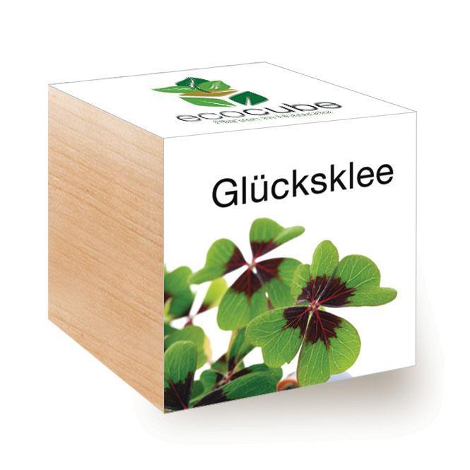 Glücksklee, Oxalis deppei