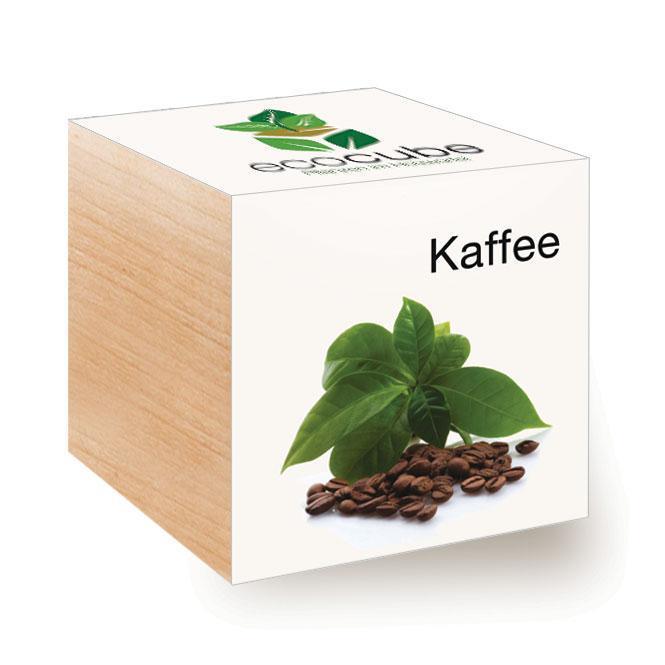 Ecocube Kaffee - Pflanzen im Holzwürfel