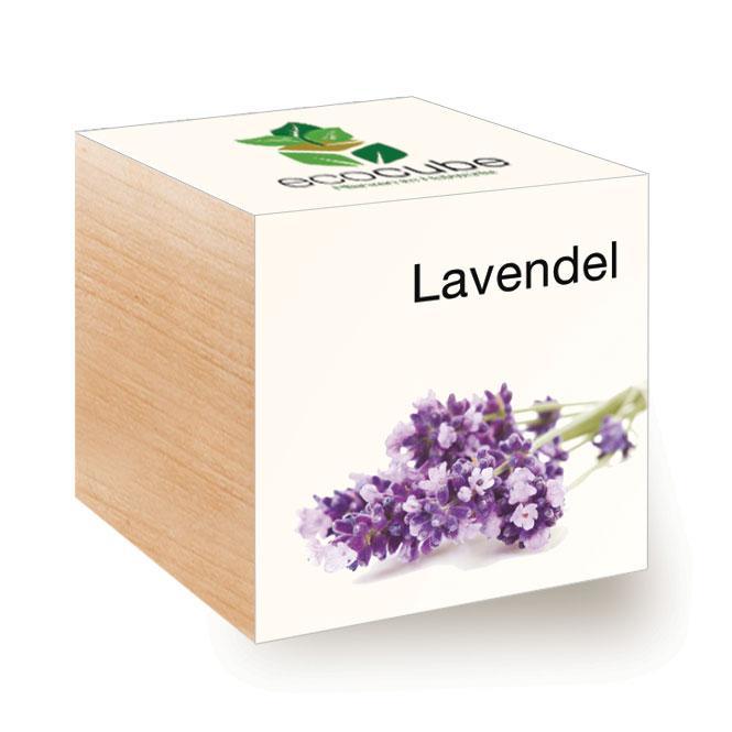Ecocube Lavendel - Pflanzen im Holzwürfel