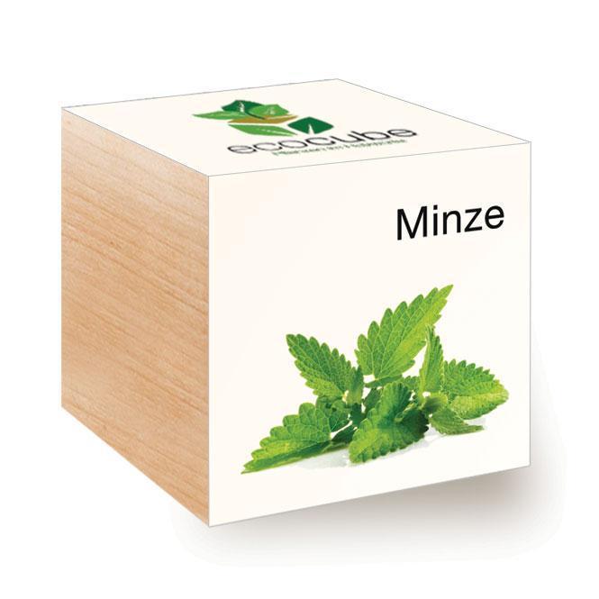Ecocube Minze - Pflanzen im Holzwürfel