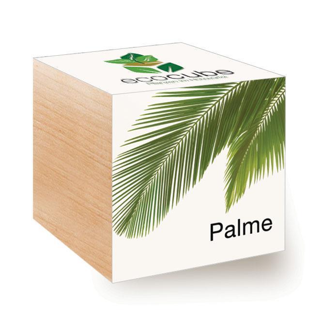 Ecocube Palme - Pflanzen im Holzwürfel