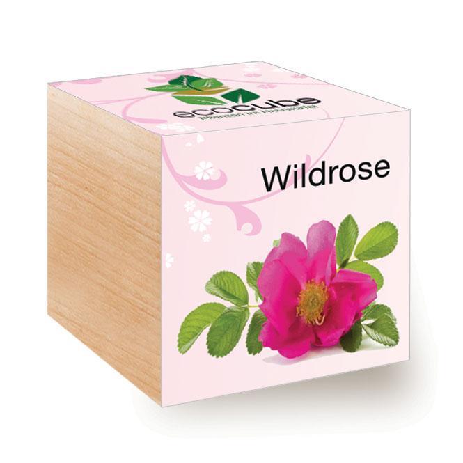 Ecocube Wildrose - Pflanzen im Holzwürfel