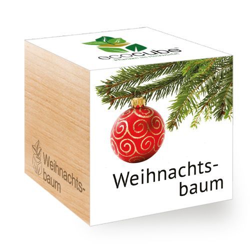 Weihnachtsbaum, Picea abies