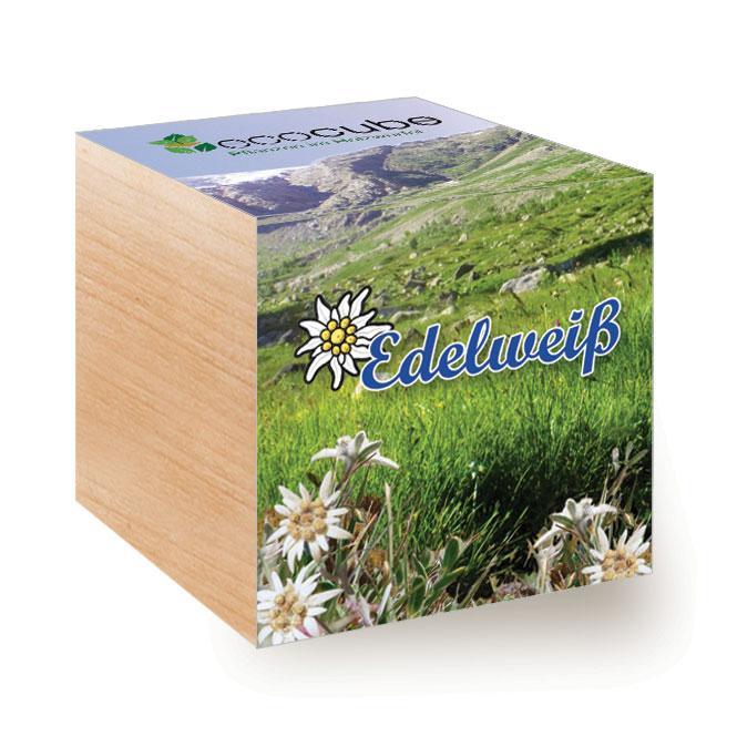 Ecocube Edelweiss Berge - Pflanzen im Holzwürfel