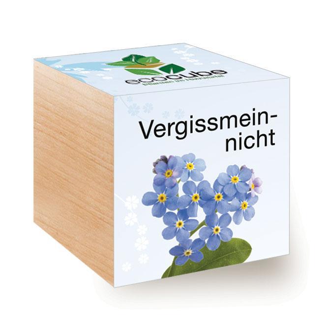 Ecocube Vergissmeinnicht - Pflanzen im Holzwürfel