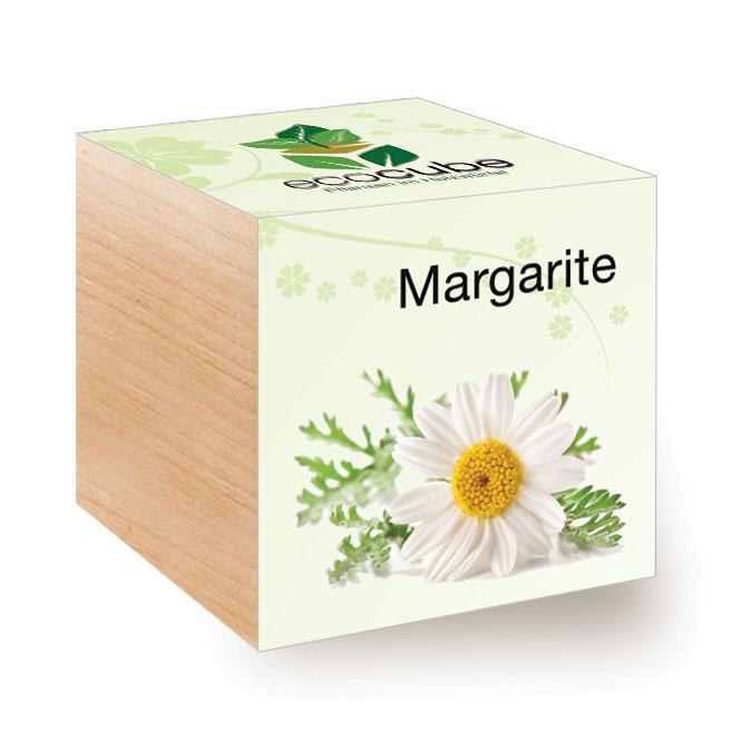 Ecocube Margerite - Pflanzen im Holzwürfel