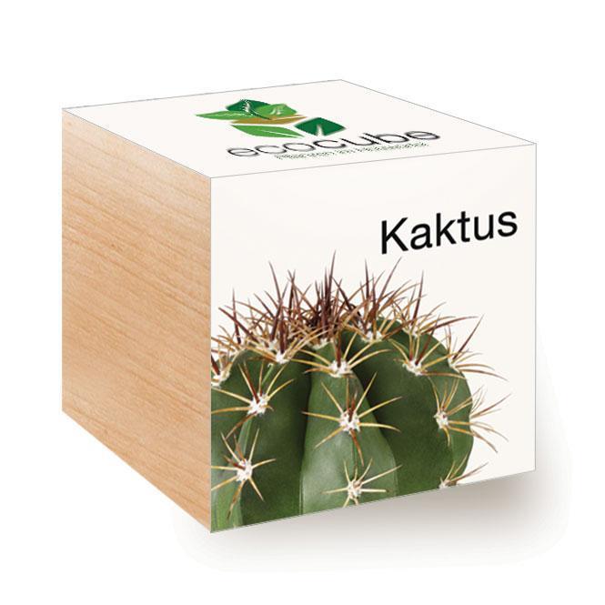 Ecocube Kaktus - Pflanzen im Holzwürfel
