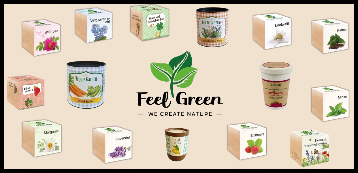 Banner Feel Green.jpg