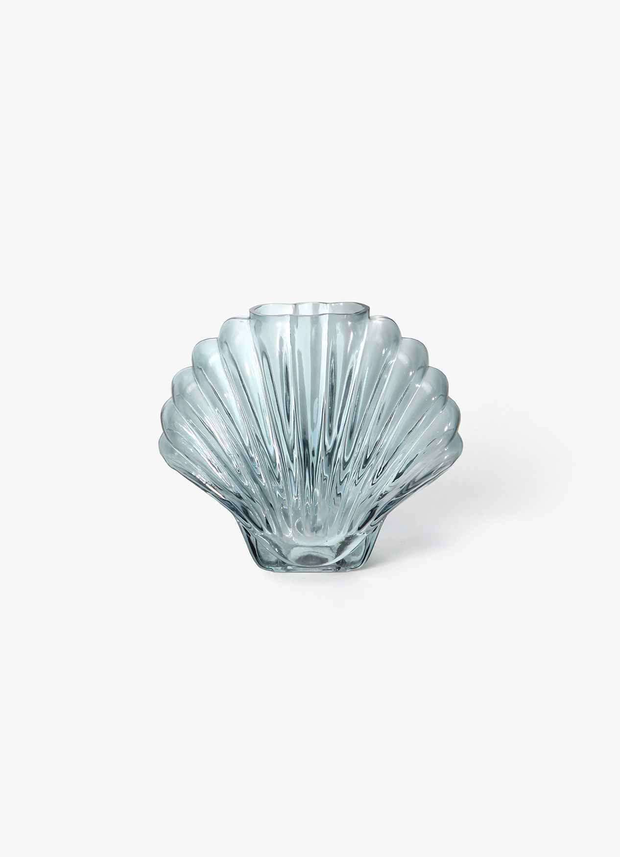 Vase, Seashell, Blue