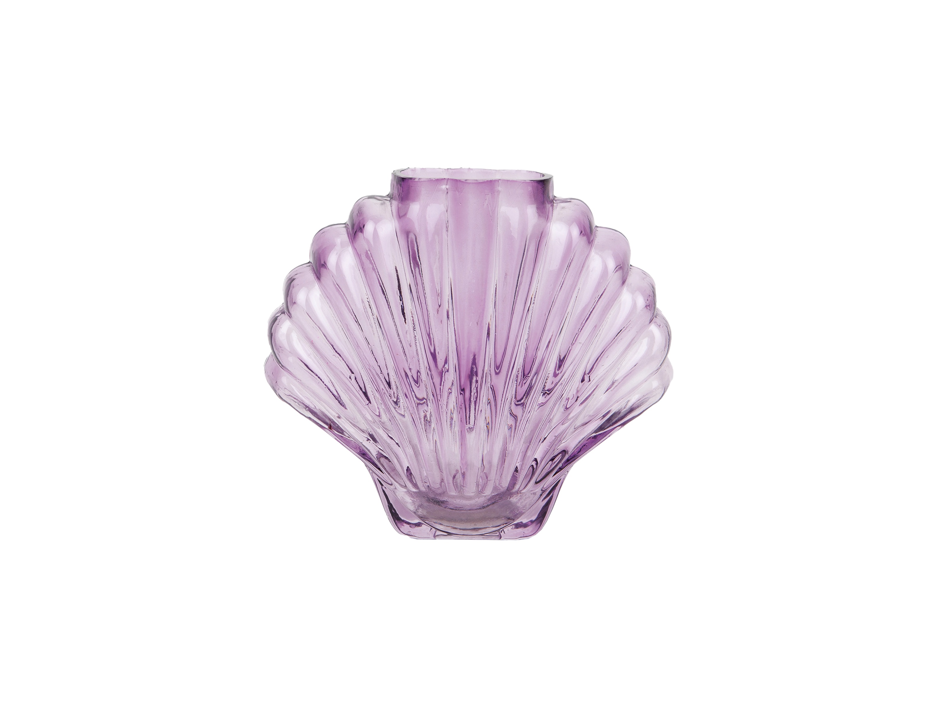 Shell - Vase
