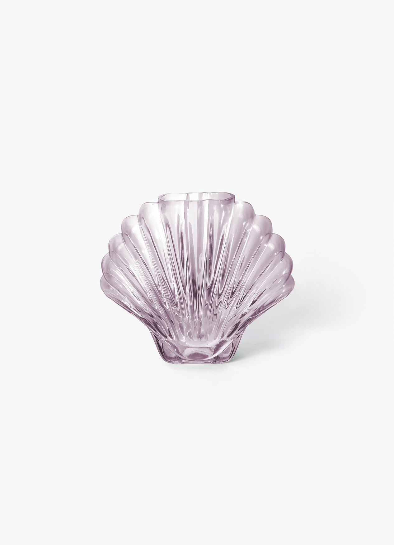 Vase, Seashell, Pink