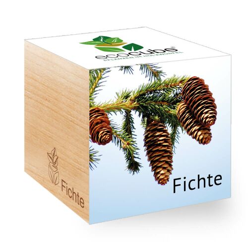 Ecocube Fichte - Pflanzen im Holzw&#252;rfel