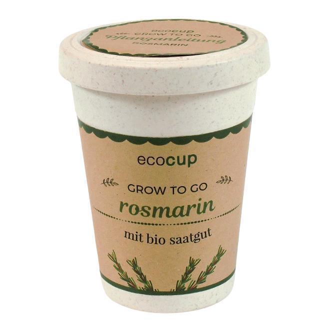EcoCup Rosmarin