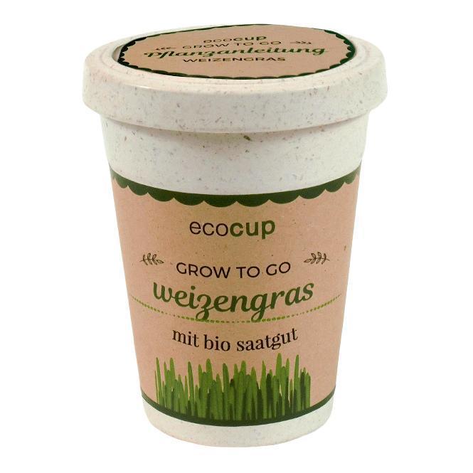 EcoCup Weizengras