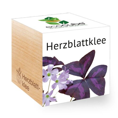 Ecocube Herzblattklee - Pflanzen im Holzw&#252;rfel