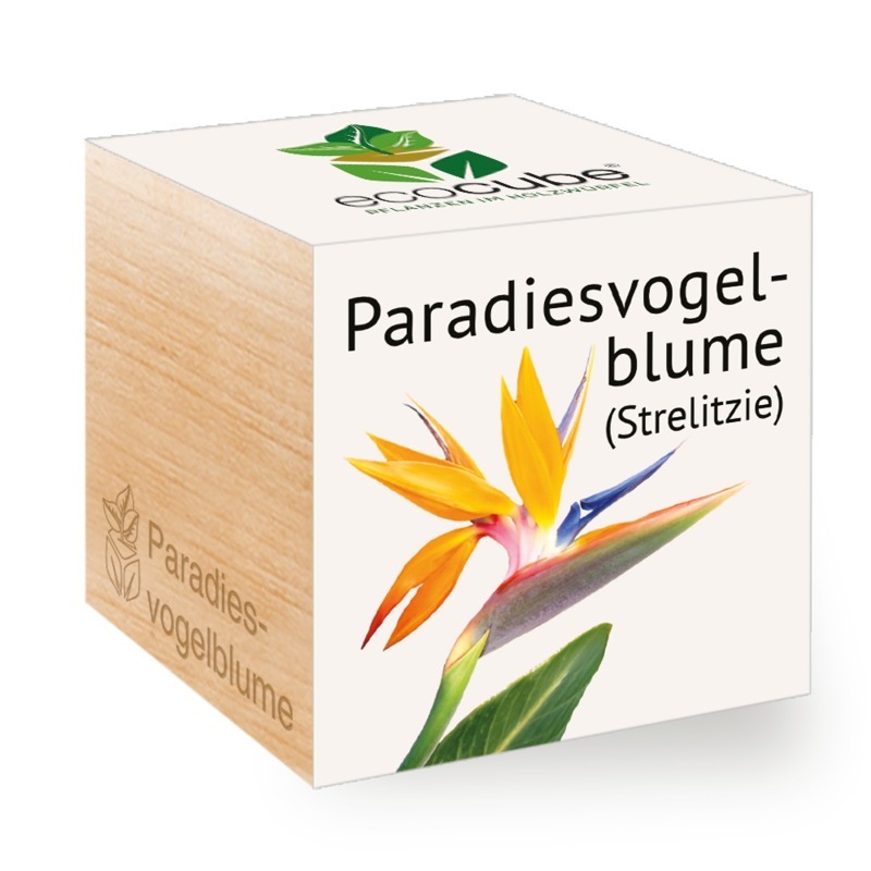 Ecocube Paradiesvogelblume - Pflanzen im Holzw&#252;rfel