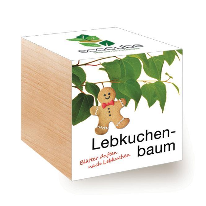 Lebkuchenbaum, Cercidiphyllum japonicum