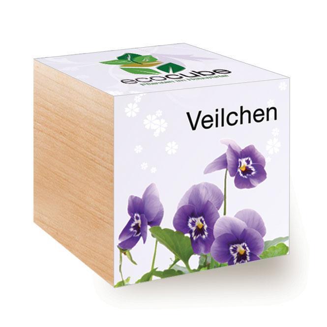 Ecocube Veilchen - Pflanzen im Holzw&#252;rfel
