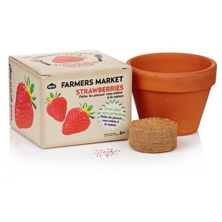 Farmer&#39;s Market Strawberries - Erdbeeren